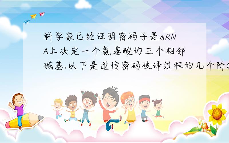 科学家已经证明密码子是mRNA上决定一个氨基酸的三个相邻碱基.以下是遗传密码破译过程的几个阶段.(1)上述实验后,又有科学家用C、u两种碱基相间排列的mRNA为模板,检验一个密码子是否含有