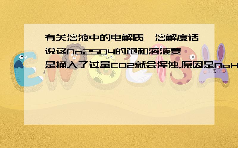 有关溶液中的电解质、溶解度话说这Na2SO4的饱和溶液要是捅入了过量CO2就会浑浊，原因是NaHCO3的溶解度较小。我的疑问是：碳酸氢钠是如何生成的？只有离子就行了？如何生成的HCO3-？那么