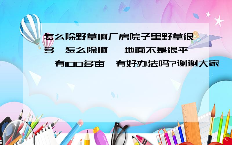 怎么除野草啊厂房院子里野草很多,怎么除啊 ,地面不是很平,有100多亩,有好办法吗?谢谢大家