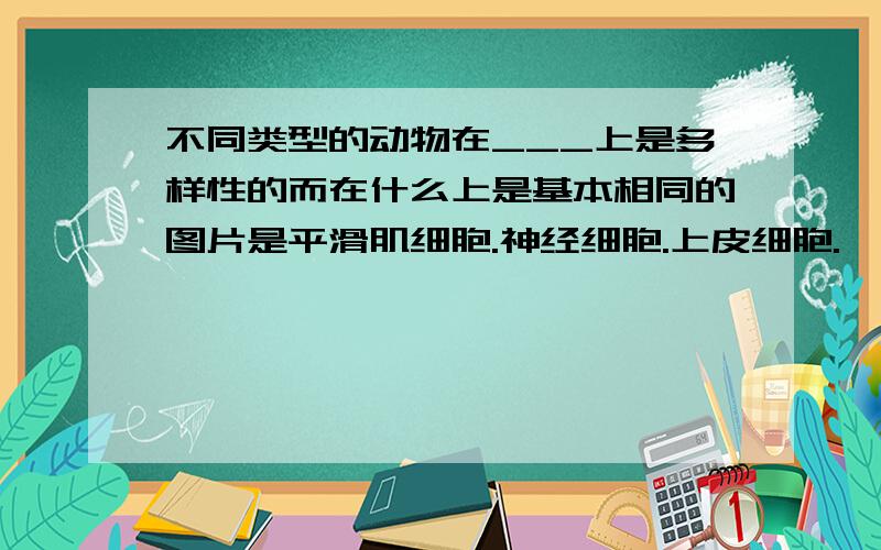 不同类型的动物在___上是多样性的而在什么上是基本相同的图片是平滑肌细胞.神经细胞.上皮细胞.