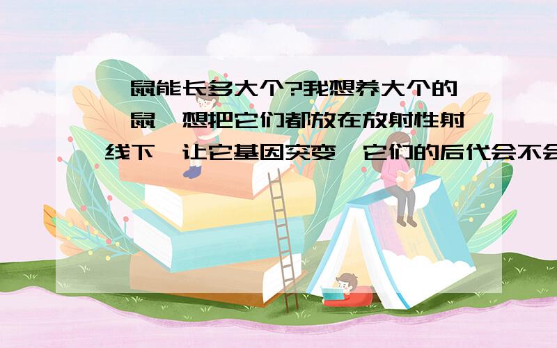 豚鼠能长多大个?我想养大个的豚鼠,想把它们都放在放射性射线下,让它基因突变,它们的后代会不会更大个啊?