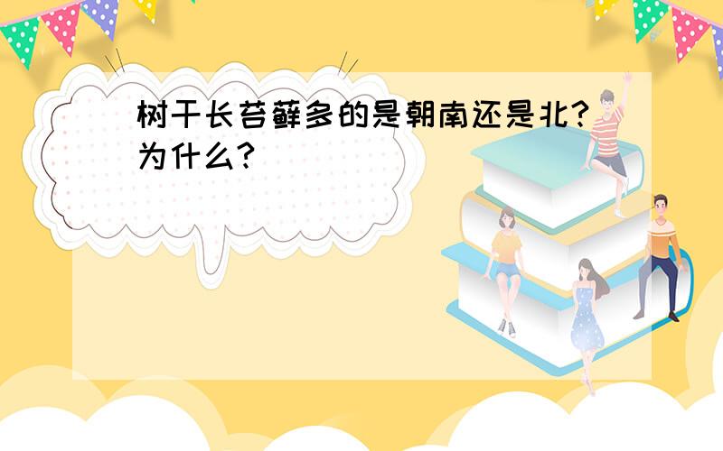 树干长苔藓多的是朝南还是北?为什么?