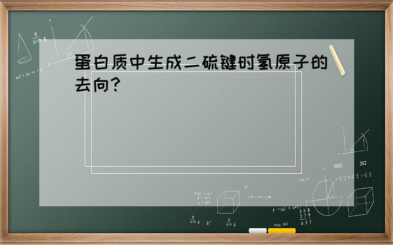 蛋白质中生成二硫键时氢原子的去向?