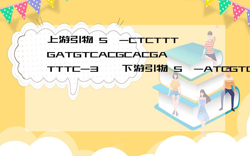 上游引物 5′-CTCTTTGATGTCACGCACGATTTC-3′,下游引物 5′-ATCGTGGGCCGCTCTAGGCACC-3′,扩增片段长度为542bp,指的是扩增出来的什么片段的长度啊?