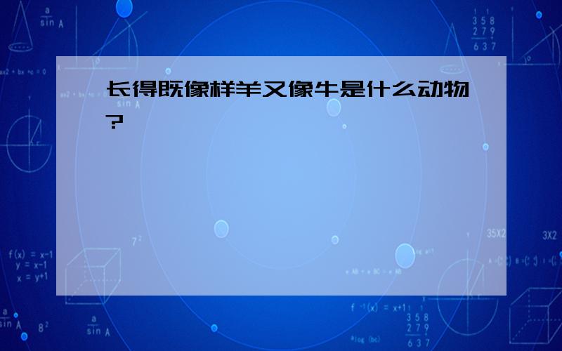 长得既像样羊又像牛是什么动物?