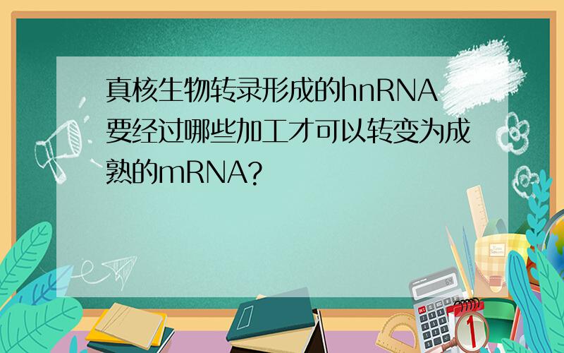 真核生物转录形成的hnRNA要经过哪些加工才可以转变为成熟的mRNA?