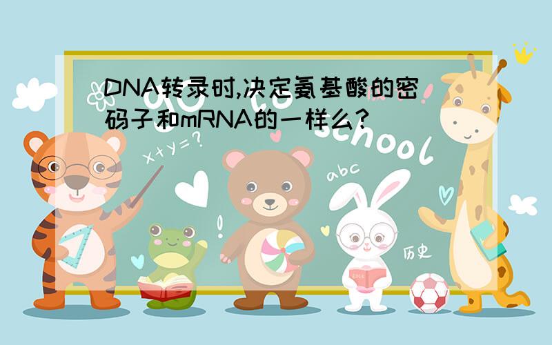 DNA转录时,决定氨基酸的密码子和mRNA的一样么?