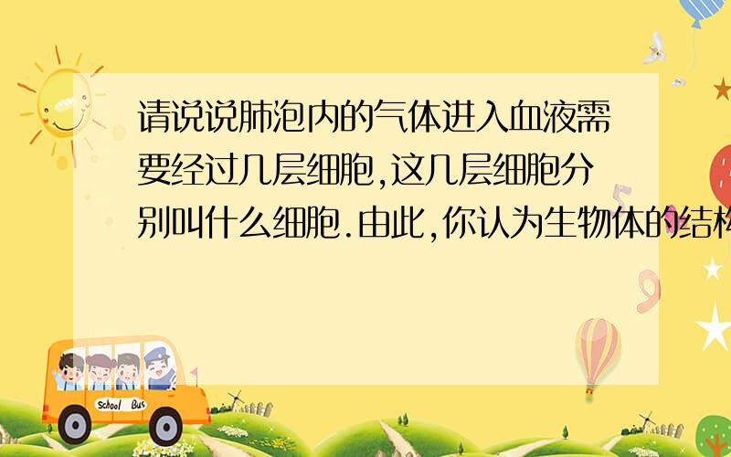 请说说肺泡内的气体进入血液需要经过几层细胞,这几层细胞分别叫什么细胞.由此,你认为生物体的结构与功能之间具有什么关系?