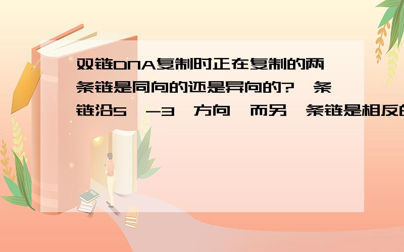 双链DNA复制时正在复制的两条链是同向的还是异向的?一条链沿5'-3'方向,而另一条链是相反的?那么解旋酶岂不是要全部处理完某一段才能开始反向复制?那么又如何满足“边解旋边复制”这一