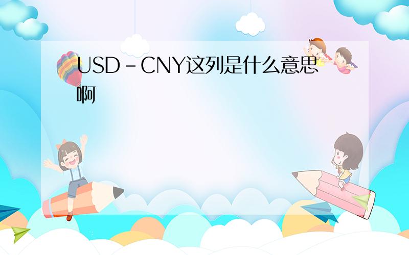 USD-CNY这列是什么意思啊