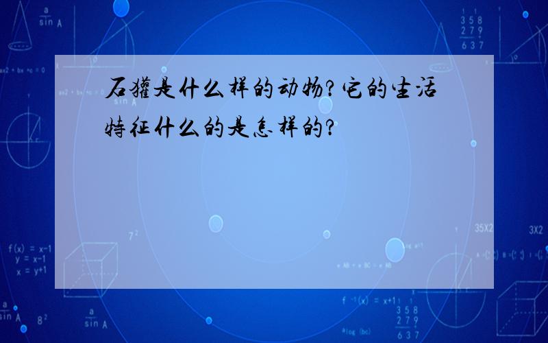 石獾是什么样的动物?它的生活特征什么的是怎样的?