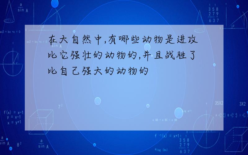 在大自然中,有哪些动物是进攻比它强壮的动物的,并且战胜了比自己强大的动物的