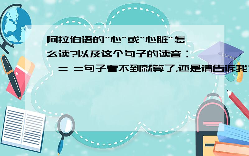 阿拉伯语的“心”或“心脏”怎么读?以及这个句子的读音：……= =句子看不到就算了，还是请告诉我“心”的读音