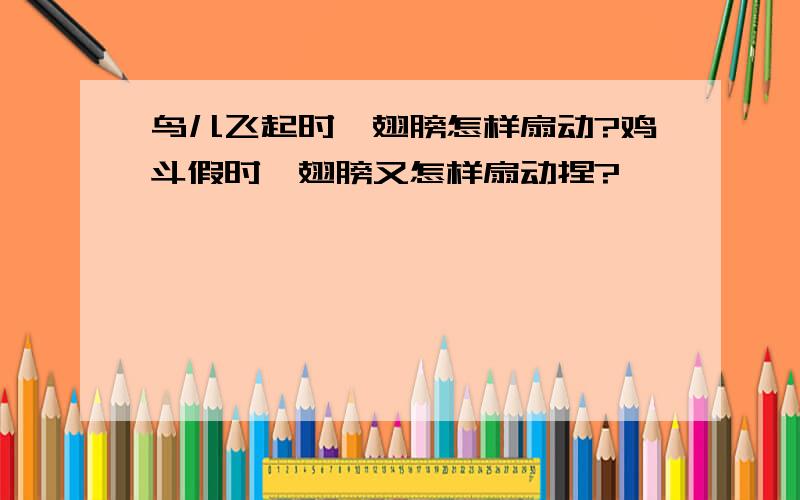 鸟儿飞起时,翅膀怎样扇动?鸡斗假时,翅膀又怎样扇动捏?