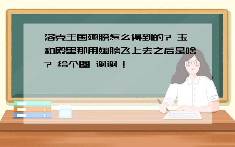 洛克王国翅膀怎么得到的? 玉和殿里那用翅膀飞上去之后是啥? 给个图 谢谢 !