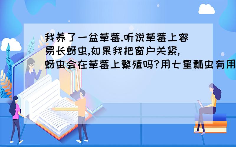 我养了一盆草莓.听说草莓上容易长蚜虫,如果我把窗户关紧,蚜虫会在草莓上繁殖吗?用七星瓢虫有用么?.