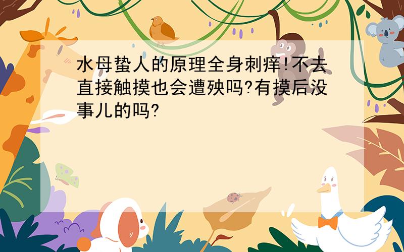 水母蛰人的原理全身刺痒!不去直接触摸也会遭殃吗?有摸后没事儿的吗?