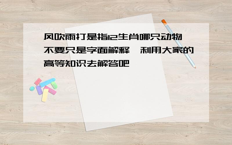 风吹雨打是指12生肖哪只动物不要只是字面解释,利用大家的高等知识去解答吧