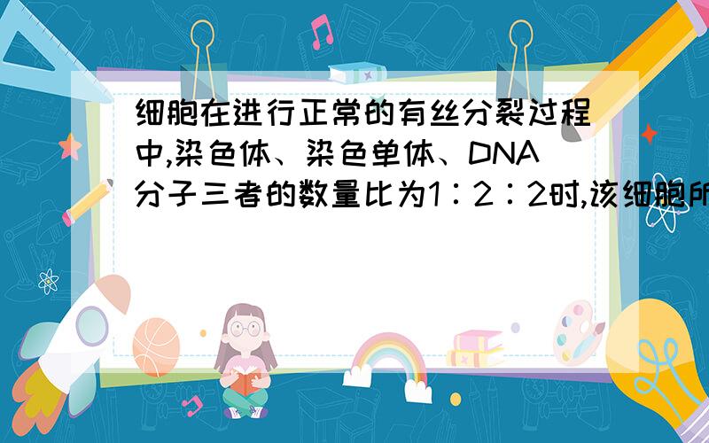 细胞在进行正常的有丝分裂过程中,染色体、染色单体、DNA分子三者的数量比为1∶2∶2时,该细胞所处的时期是A.前期或后期B.后期或末期C.前期或中期D.后期或中期