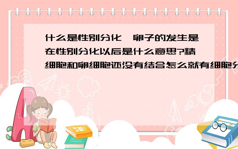 什么是性别分化,卵子的发生是在性别分化以后是什么意思?精细胞和卵细胞还没有结合怎么就有细胞分化了呢?那我是不是该理解成当一个雌性动物在被怀孕之时就开始产生卵?什么是性别分化