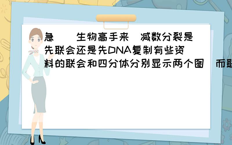 急．．生物高手来．减数分裂是先联会还是先DNA复制有些资料的联会和四分体分别显示两个图．而联会的图一个着丝点上只有一个DNA．而四分体的图上着丝点上有2个DNA