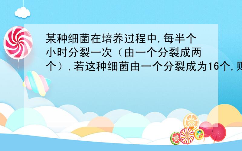 某种细菌在培养过程中,每半个小时分裂一次（由一个分裂成两个）,若这种细菌由一个分裂成为16个,则这个过要经过多长时间