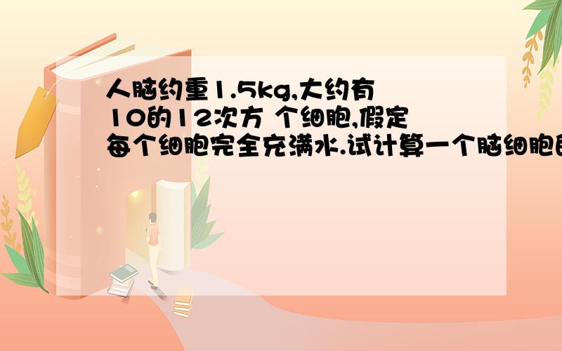 人脑约重1.5kg,大约有 10的12次方 个细胞,假定每个细胞完全充满水.试计算一个脑细胞的平均大小.如果脑细胞是简单的立方体,那么这个平均大小的脑细胞每边长度是多少?如果这些细胞铺成薄