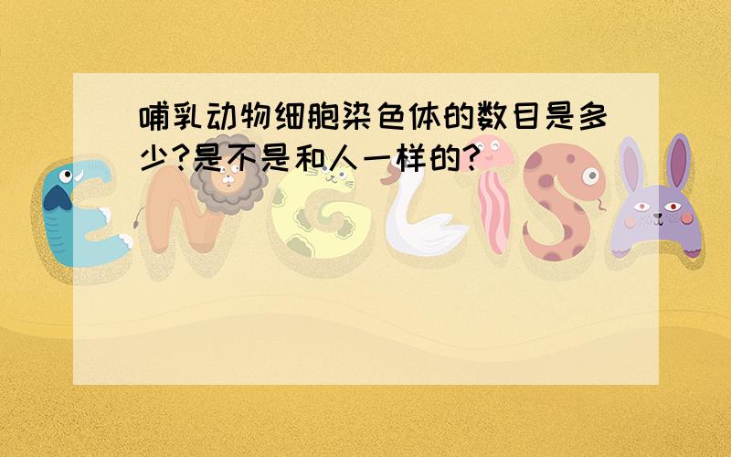 哺乳动物细胞染色体的数目是多少?是不是和人一样的?