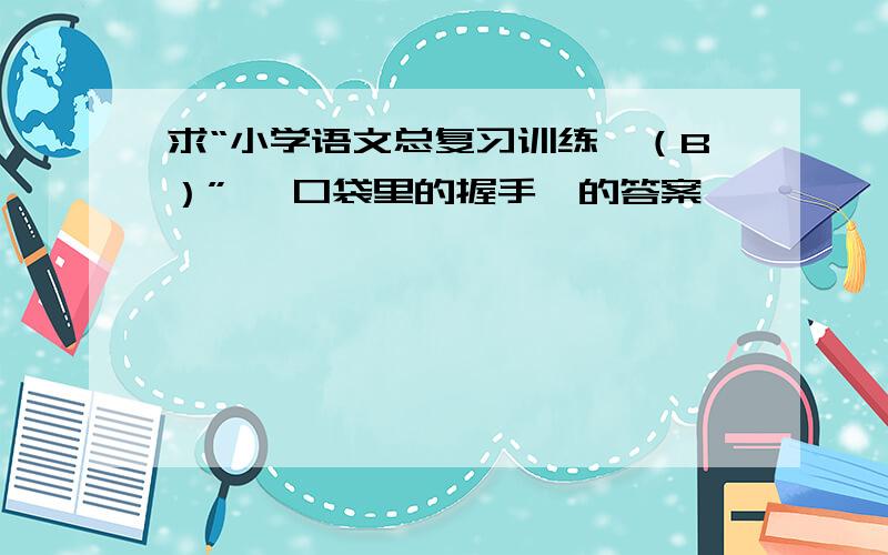 求“小学语文总复习训练一（B）” 《口袋里的握手》的答案