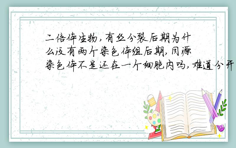 二倍体生物,有丝分裂后期为什么没有两个染色体组后期,同源染色体不是还在一个细胞内吗,难道分开了都不算吗,还有2N＝几是什么意思,二倍体是2N＝几