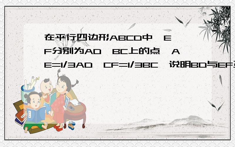 在平行四边形ABCD中,E,F分别为AD,BC上的点,AE=1/3AD,CF=1/3BC,说明BD与EF互相平分