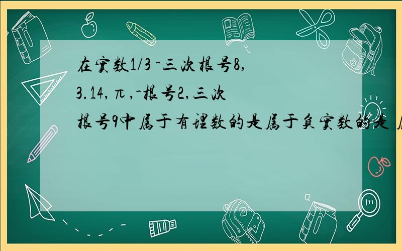 在实数1/3 -三次根号8,3.14,π,-根号2,三次根号9中属于有理数的是属于负实数的是 属于无理数的是