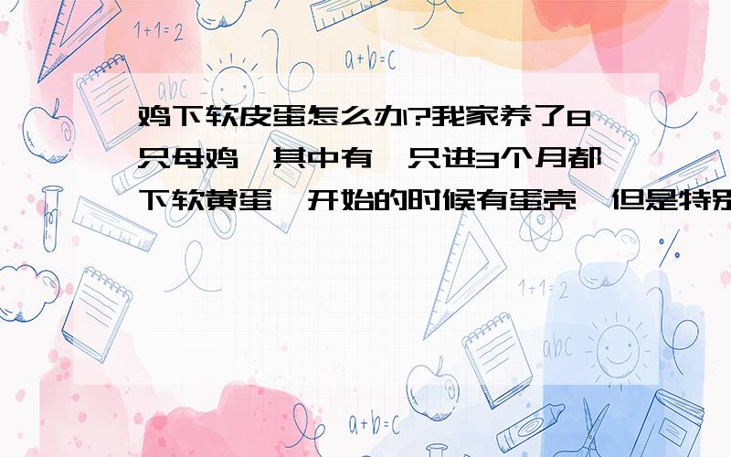 鸡下软皮蛋怎么办?我家养了8只母鸡,其中有一只进3个月都下软黄蛋,开始的时候有蛋壳,但是特别薄,后来壳没有了,只剩下软皮.鸡的症状还有,不爱吃饭,特别爱喝水,总拉稀.蔫吧,下蛋前很痛苦,