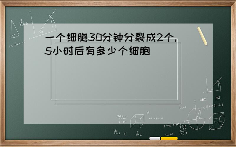 一个细胞30分钟分裂成2个,5小时后有多少个细胞