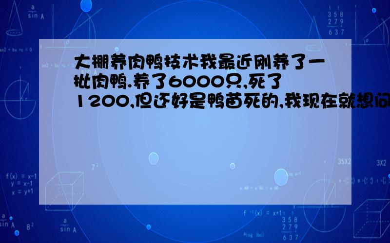 大棚养肉鸭技术我最近刚养了一批肉鸭.养了6000只,死了1200,但还好是鸭苗死的,我现在就想问下,大棚养殖肉鸭技术方面的问题,请懂得的朋友来帮帮忙,让我多学点经验,一.我鸭苗正好天气不好