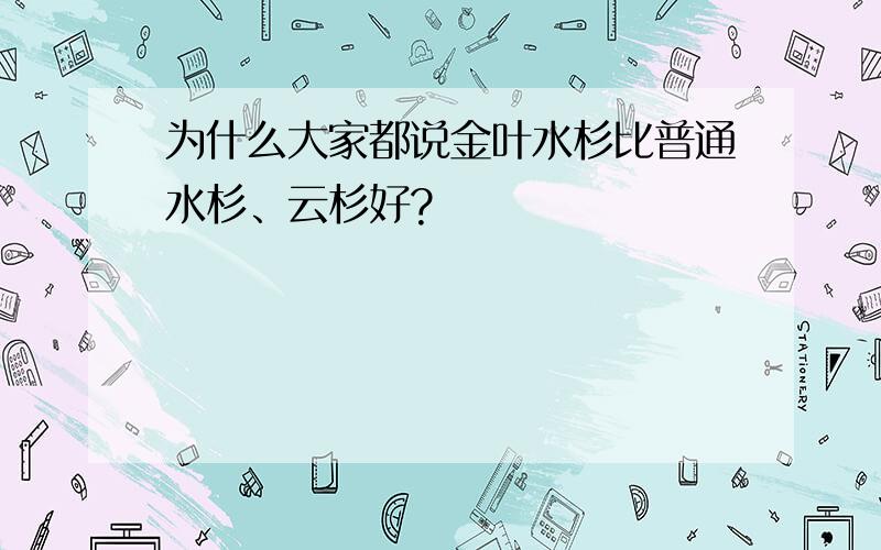 为什么大家都说金叶水杉比普通水杉、云杉好?