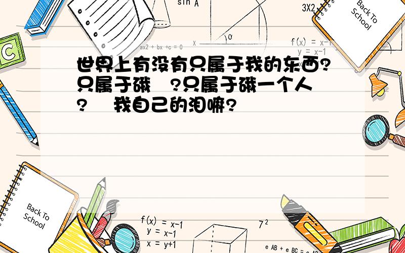 世界上有没有只属于我的东西?只属于硪嘚?只属于硪一个人嘚?飠 我自己的泪嘛?