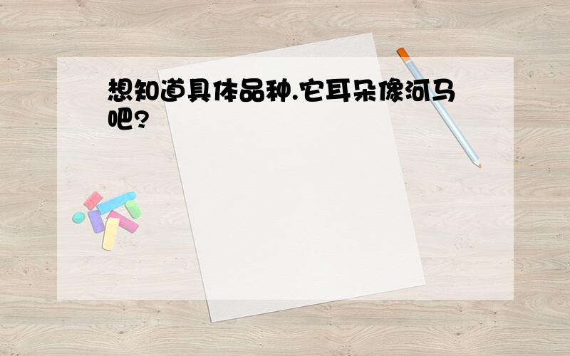 想知道具体品种.它耳朵像河马吧?