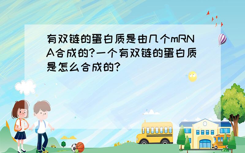 有双链的蛋白质是由几个mRNA合成的?一个有双链的蛋白质是怎么合成的?