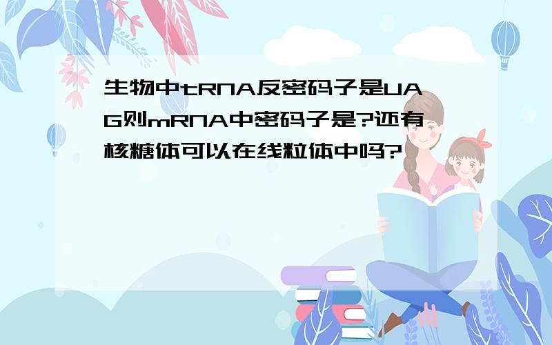 生物中tRNA反密码子是UAG则mRNA中密码子是?还有核糖体可以在线粒体中吗?