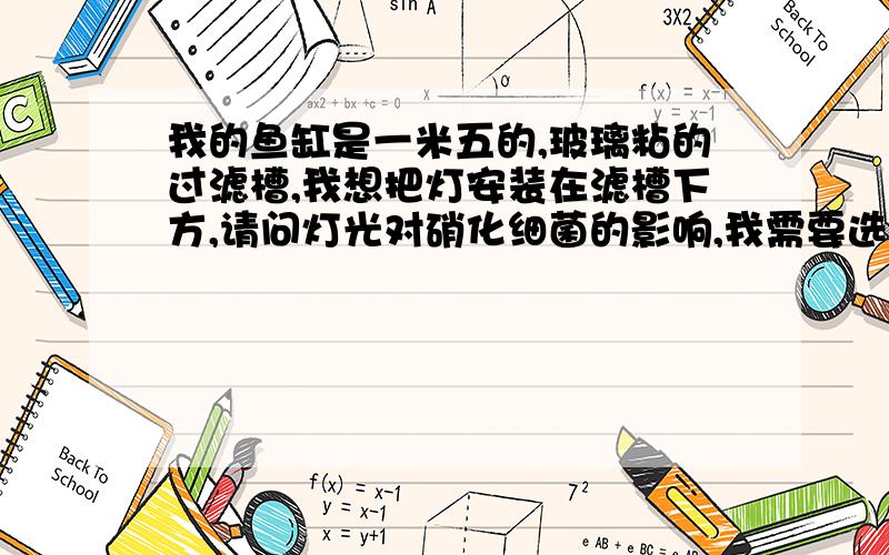 我的鱼缸是一米五的,玻璃粘的过滤槽,我想把灯安装在滤槽下方,请问灯光对硝化细菌的影响,我需要选择什么样的灯(紫色的可以吗)?还是把过滤槽用贴纸遮挡灯光?