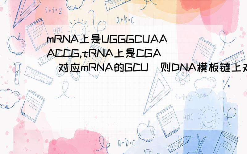 mRNA上是UGGGCUAAACCG,tRNA上是CGA(对应mRNA的GCU)则DNA模板链上对应的碱基序列是?（要详解） 狠急!
