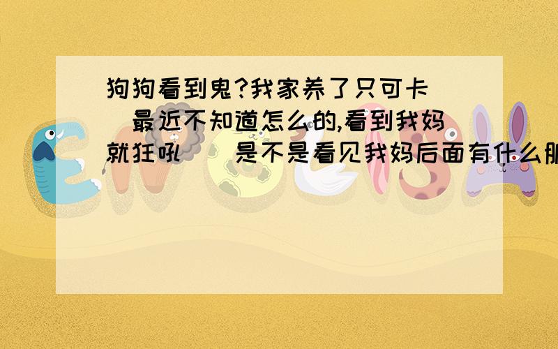 狗狗看到鬼?我家养了只可卡``最近不知道怎么的,看到我妈就狂吼``是不是看见我妈后面有什么脏东西啊`?而且不让我妈靠近我还有2次凌晨2.3点``它突然跑到我的卧室向着客厅吼,但是客厅没人