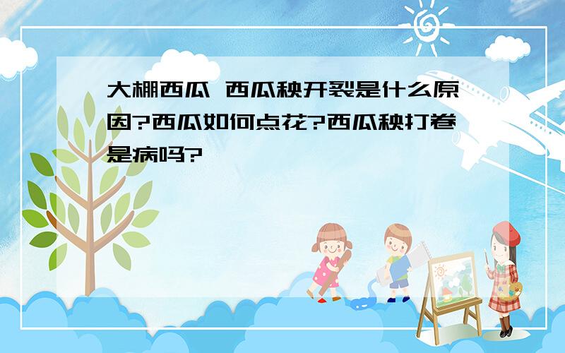 大棚西瓜 西瓜秧开裂是什么原因?西瓜如何点花?西瓜秧打卷是病吗?