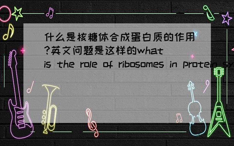 什么是核糖体合成蛋白质的作用?英文问题是这样的what is the role of ribosomes in protein synthesis?我翻译的不是很好!--!