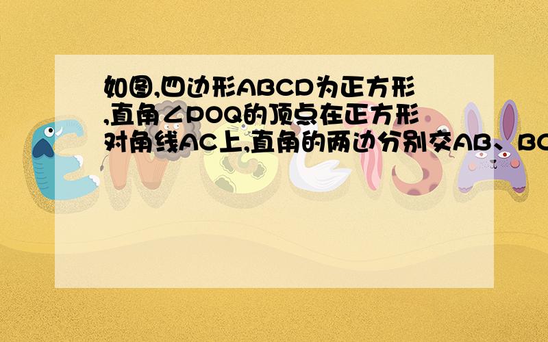 如图,四边形ABCD为正方形,直角∠POQ的顶点在正方形对角线AC上,直角的两边分别交AB、BC于P、Q两点,OC=2OA,求OP/OQ的值