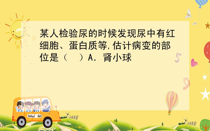 某人检验尿的时候发现尿中有红细胞、蛋白质等,估计病变的部位是（　）A．肾小球　　　　　　　　　　　　B．入球小动脉和出球小动脉C．肾小管　　　　　　　　　　　　D．肾小囊说