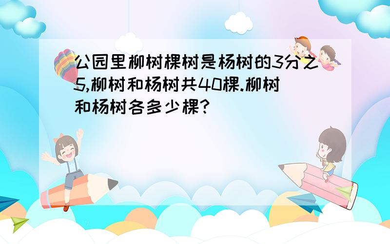 公园里柳树棵树是杨树的3分之5,柳树和杨树共40棵.柳树和杨树各多少棵?