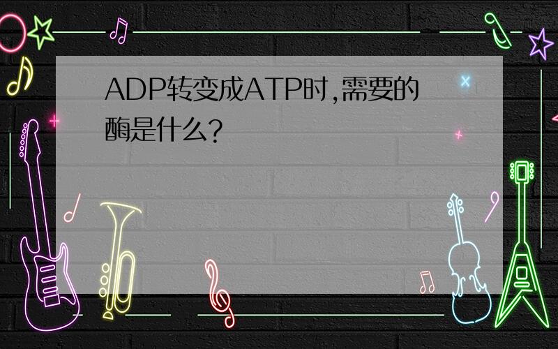 ADP转变成ATP时,需要的酶是什么?