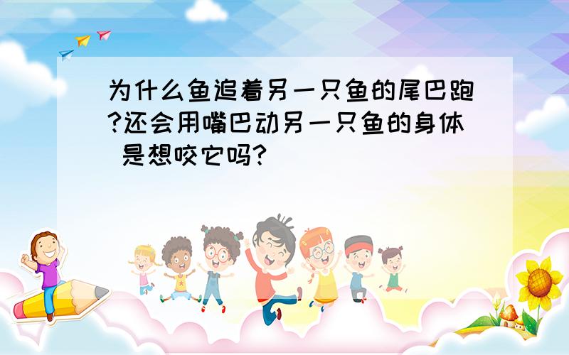 为什么鱼追着另一只鱼的尾巴跑?还会用嘴巴动另一只鱼的身体 是想咬它吗?